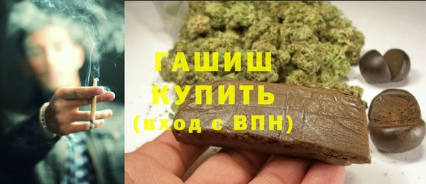 прущие грибы Надым