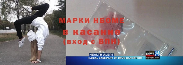 прущие грибы Надым