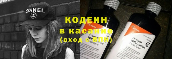 прущие грибы Надым