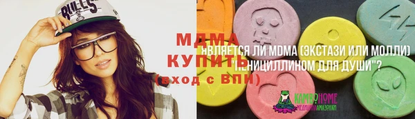 прущие грибы Надым