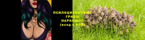 прущие грибы Надым