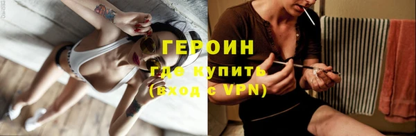 прущие грибы Надым