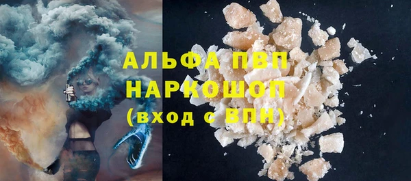прущие грибы Надым