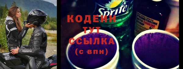 прущие грибы Надым