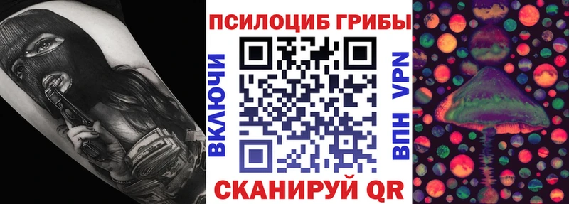 Псилоцибиновые грибы ЛСД  это клад  Юрюзань  купить наркоту 